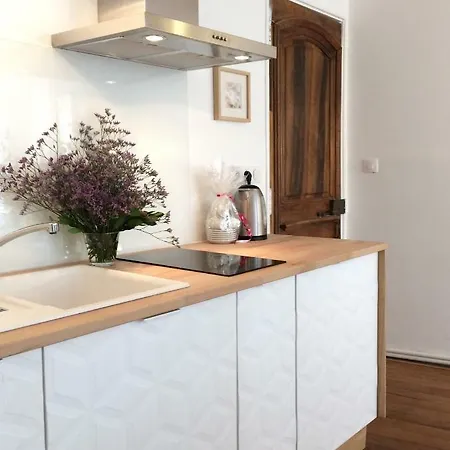Centre Appartement Avignon